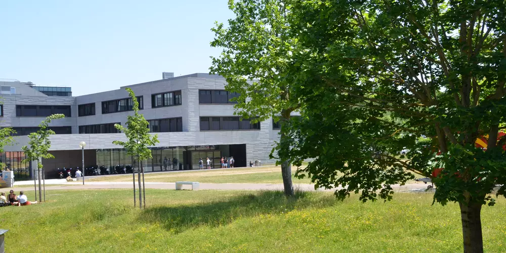 Gebäude der Fakultät IM im Sommer mit Wiese und Baum im Vordergrund