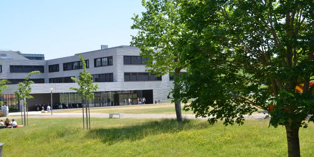Gebäude der Fakultät IM im Sommer mit Wiese und Baum im Vordergrund